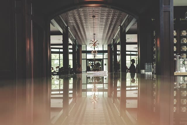 Reisen Sie mit Ihrem Haustier? Alles über haustierfreundliche Hotels in Deutschland